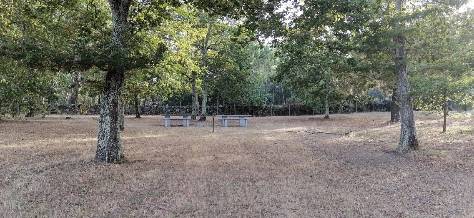 Terreno para Venda em Rio Torto e Lagarinhos Foto 8