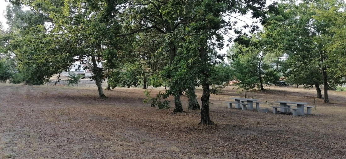 Terreno para Venda em Rio Torto e Lagarinhos Foto 9