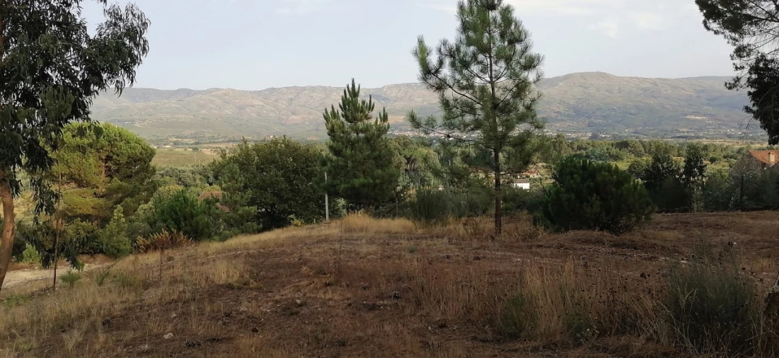 Terreno para Venda em Rio Torto e Lagarinhos Foto 14