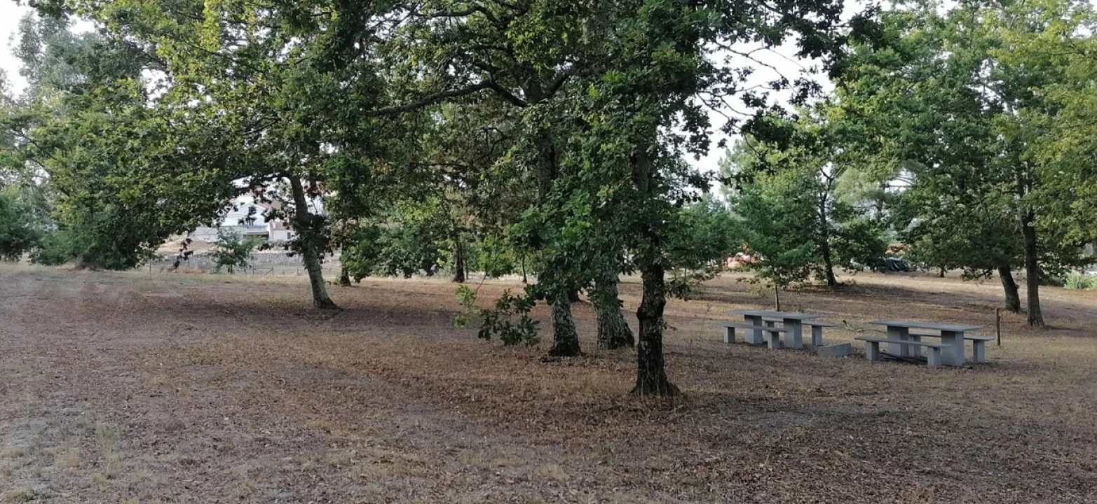 Terreno para Venda em Rio Torto e Lagarinhos Foto 9
