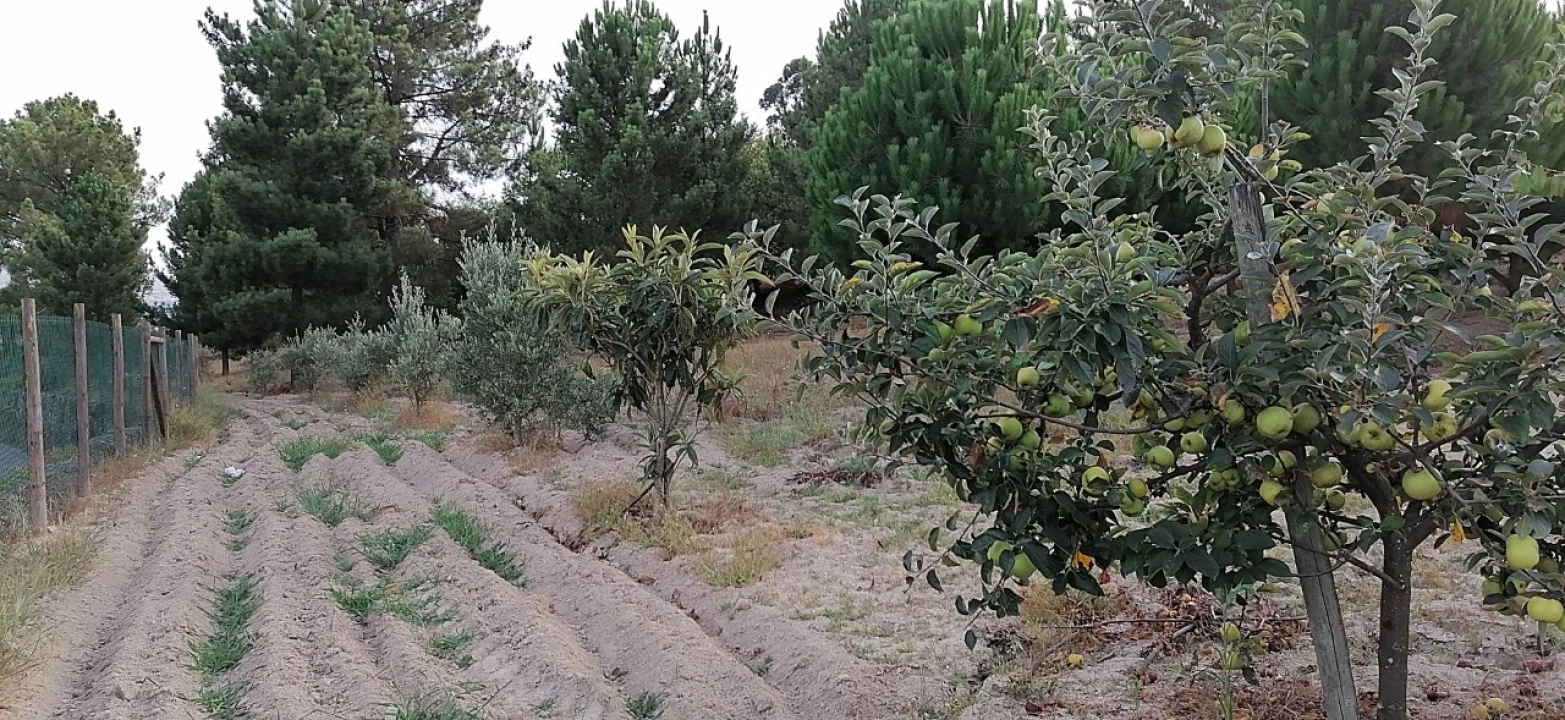 Terreno para Venda em Rio Torto e Lagarinhos Foto 35