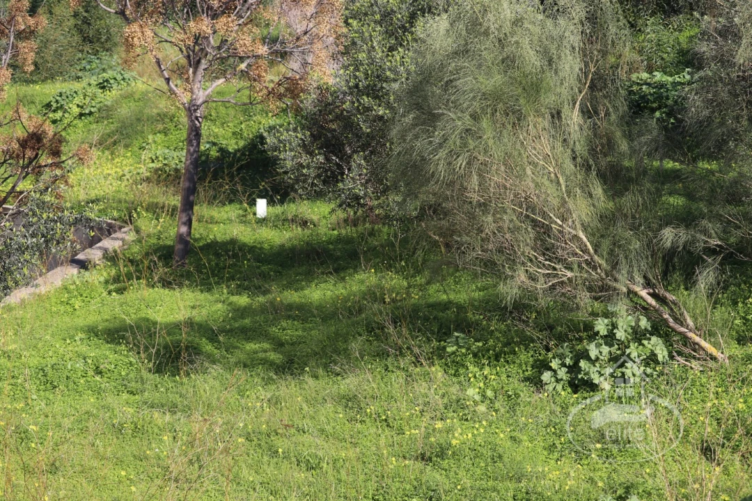 Terreno para Venda em Setubal (São Sebastião) Foto 7