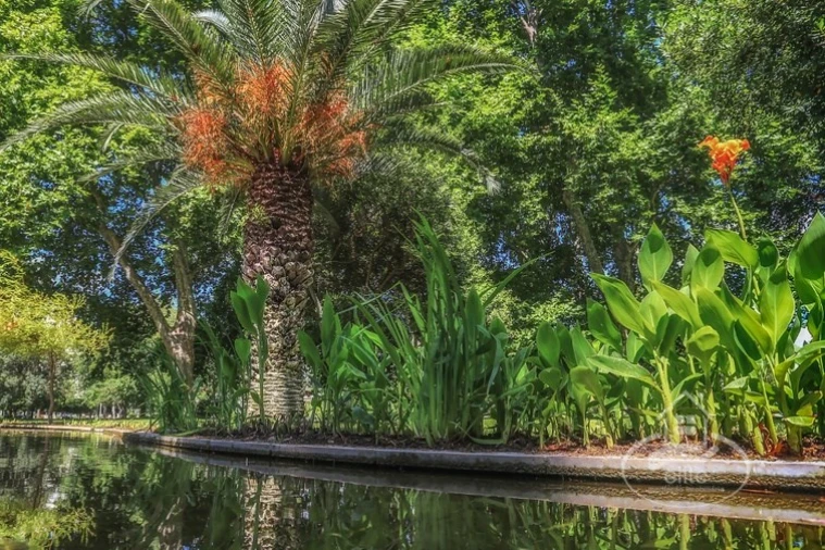 Terreno para Venda em União das Freguesias de Setúbal Foto 2