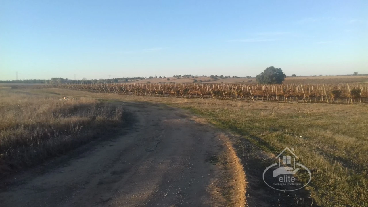Terreno para Venda em Évora (São Mamede, Sé, São Pedro e Santo Antão) Foto 6