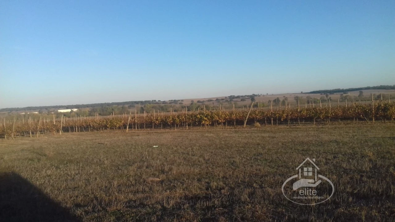 Terreno para Venda em Évora (São Mamede, Sé, São Pedro e Santo Antão) Foto 4