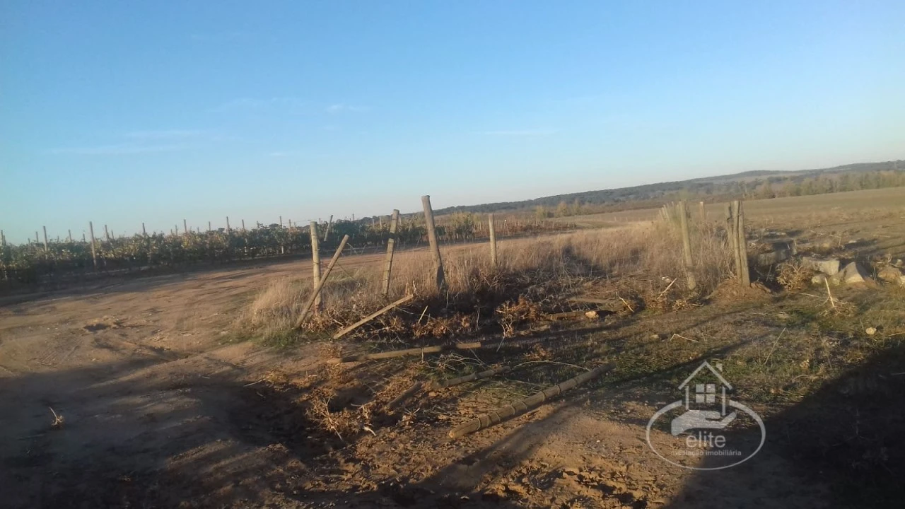 Terreno para Venda em Évora (São Mamede, Sé, São Pedro e Santo Antão) Foto 5