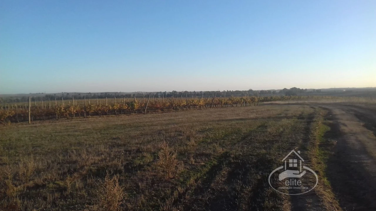 Terreno para Venda em Évora (São Mamede, Sé, São Pedro e Santo Antão) Foto 7