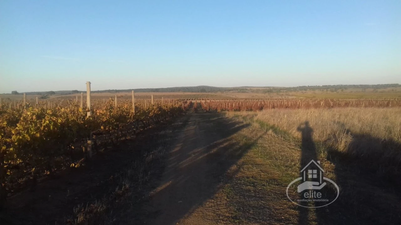 Terreno para Venda em Évora (São Mamede, Sé, São Pedro e Santo Antão) Foto 8