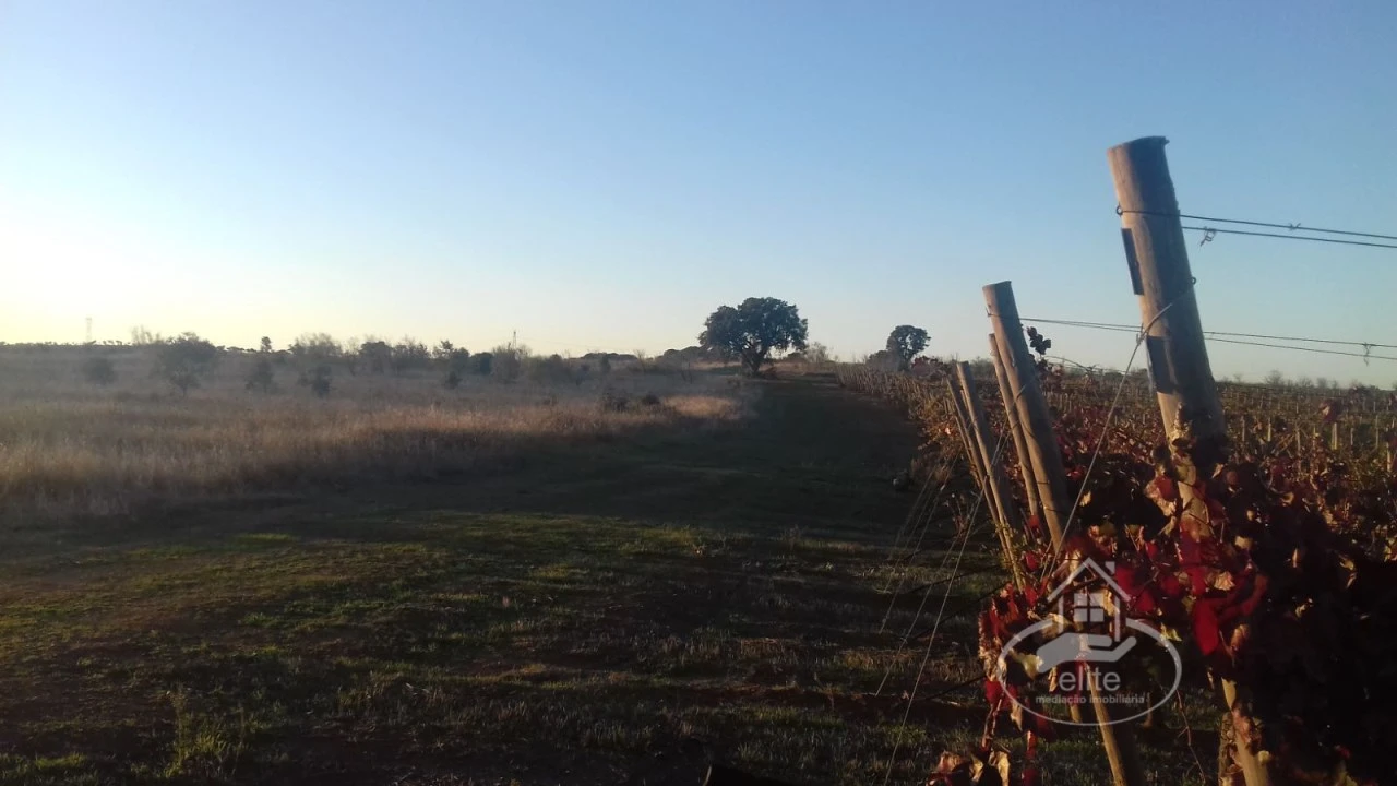 Terreno para Venda em Évora (São Mamede, Sé, São Pedro e Santo Antão) Foto 16