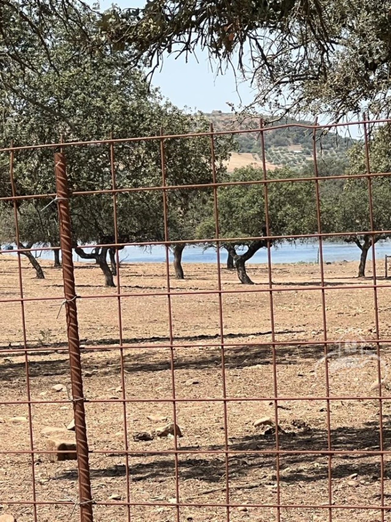 Terreno para Venda em Évora (São Mamede, Sé, São Pedro e Santo Antão) Foto 2