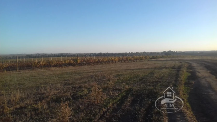Terreno para Venda em Évora (São Mamede, Sé, São Pedro e Santo Antão) Foto 7
