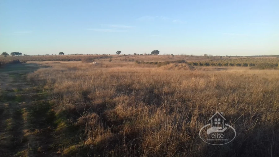 Terreno para Venda em Évora (São Mamede, Sé, São Pedro e Santo Antão) Foto 13