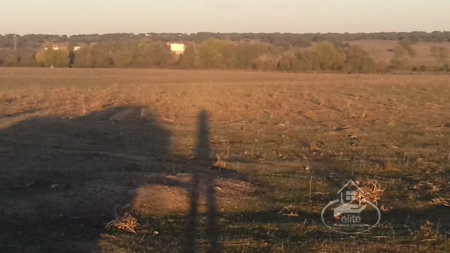 Terreno para Venda em Évora (São Mamede, Sé, São Pedro e Santo Antão) Foto 17