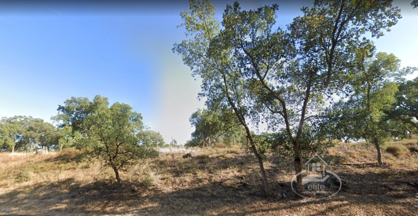 Terreno para Venda em Poceirão e Marateca Foto 6