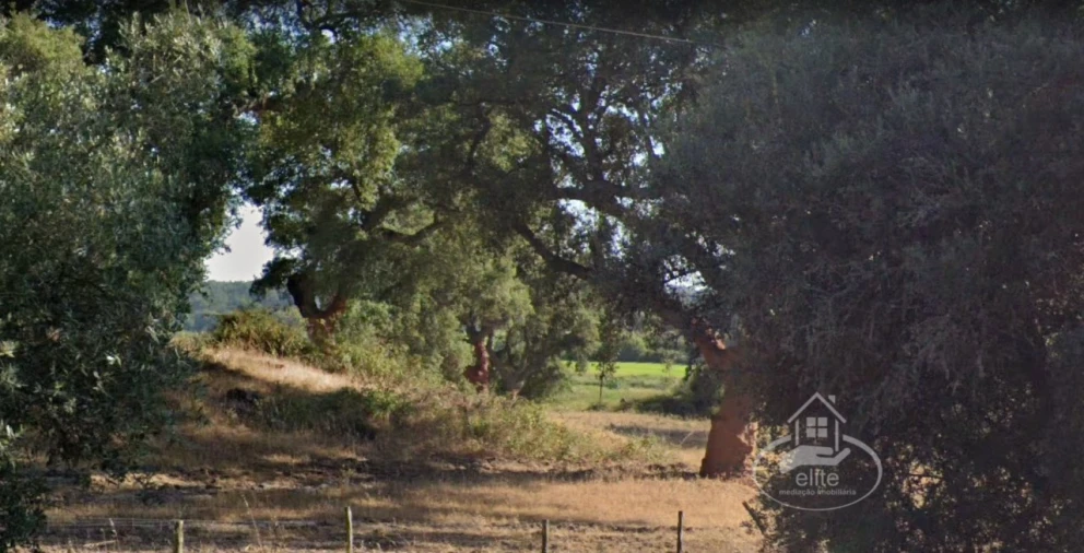 Terreno para Venda em Poceirão e Marateca Foto 1