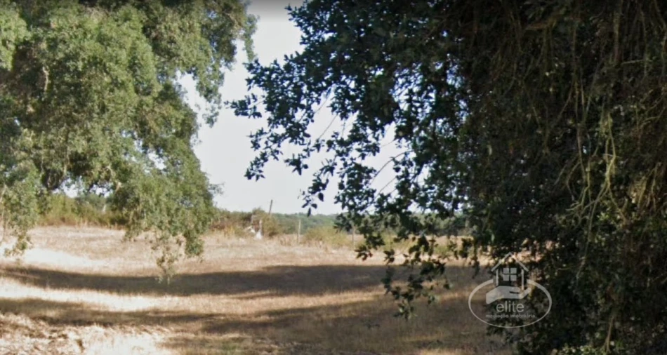 Terreno para Venda em Poceirão e Marateca Foto 2