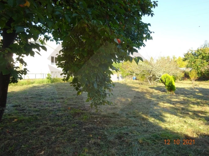 Terreno para Venda em São Mamede de Infesta e Senhora da Hora Foto 2