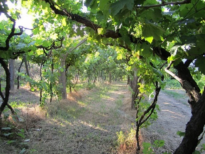 Terreno para Venda em Resende Foto 6