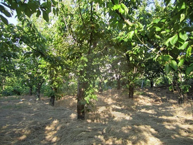Terreno para Venda em Resende Foto 8