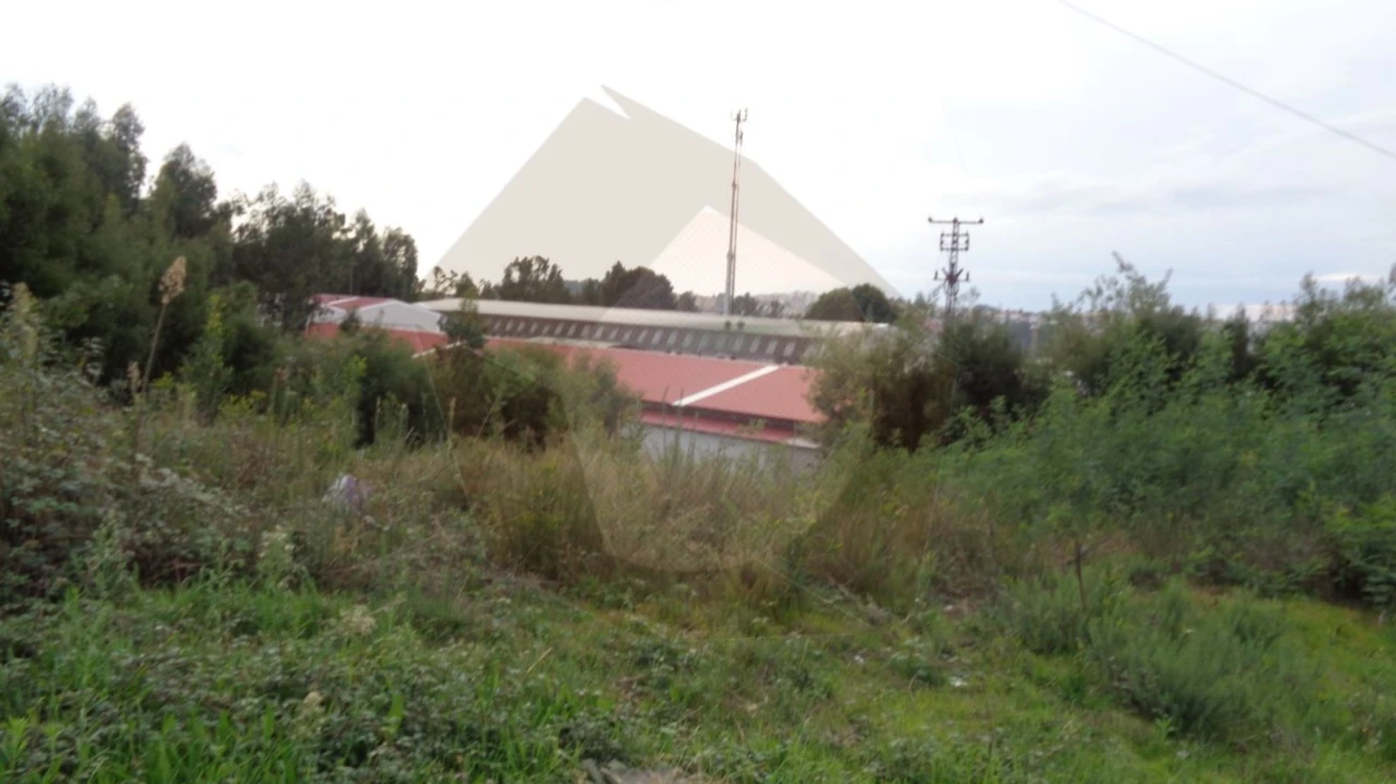 Terreno para Venda em São João da Madeira Foto 7