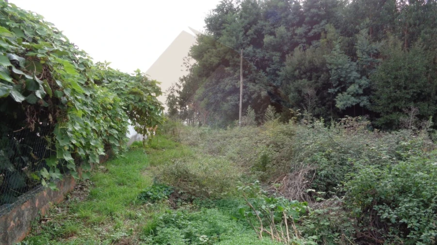 Terreno para Venda em São João da Madeira Foto 2