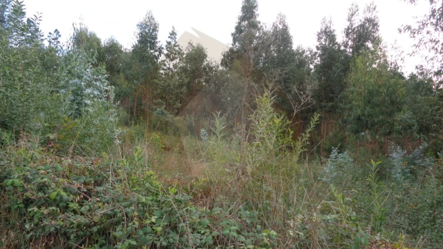 Terreno para Venda em São João da Madeira Foto 4