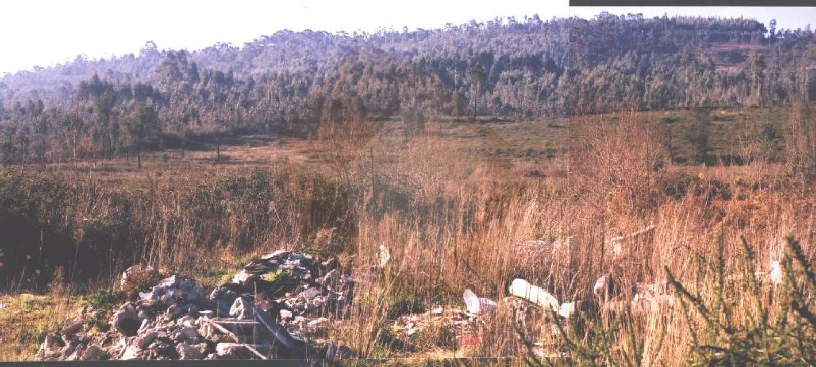 Terreno para Venda em Folgosa Foto 1