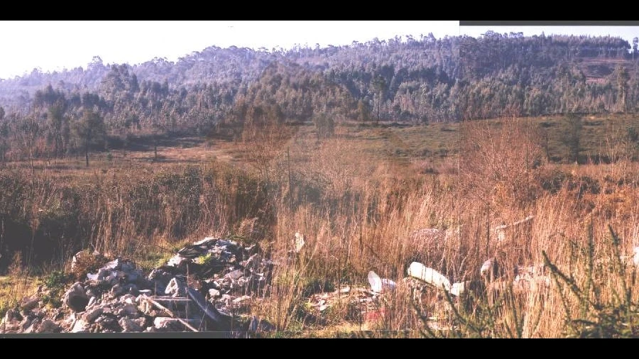 Terreno para Venda em Folgosa