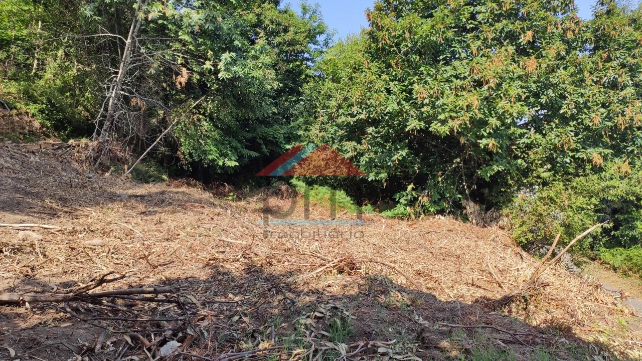 Terreno para Venda em Abedim Foto 4