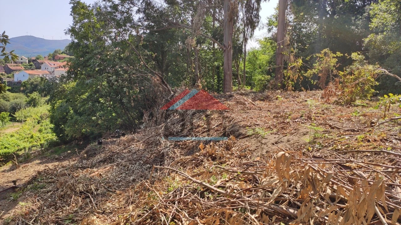 Terreno para Venda em Abedim Foto 9