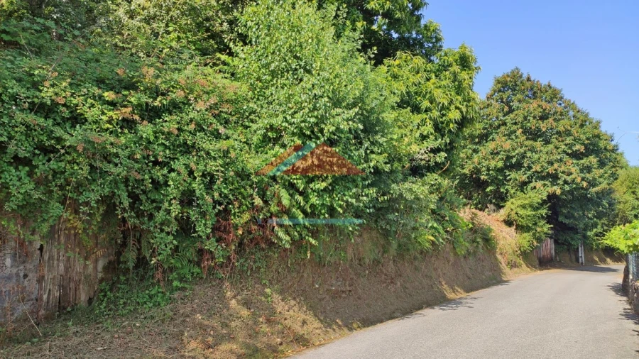 Terreno para Venda em Abedim Foto 2