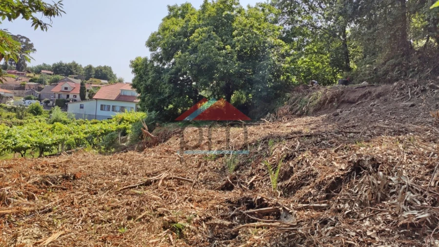 Terreno para Venda em Abedim Foto 5