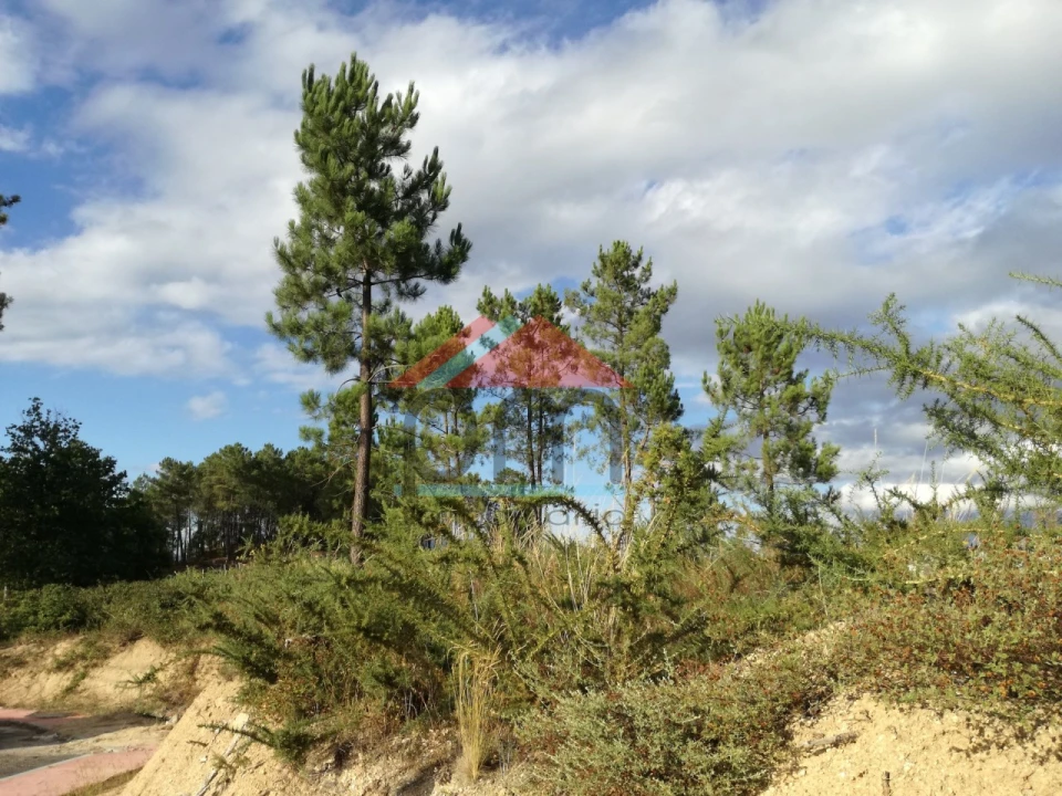 Terreno para Venda em Monção e Troviscoso Foto 3
