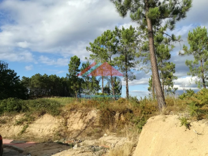 Terreno para Venda em Monção e Troviscoso Foto 5