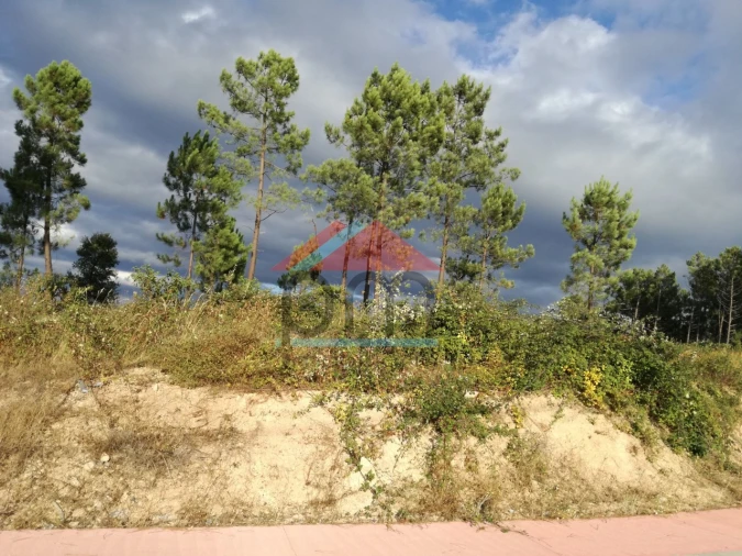 Terreno para Venda em Monção e Troviscoso Foto 7