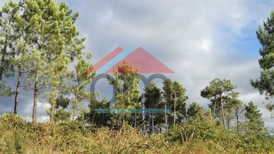 Terreno para Venda em Monção e Troviscoso