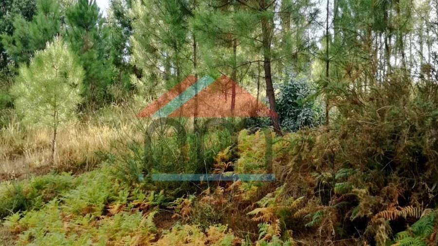 Terreno para Venda em Longos Vales