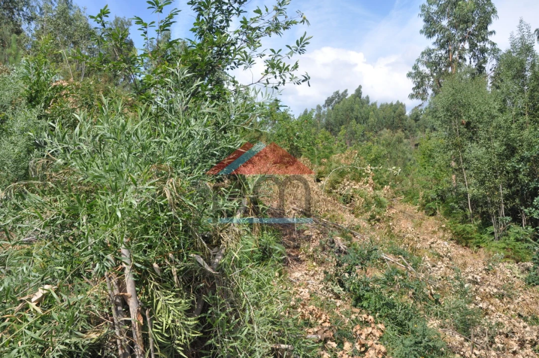 Terreno para Venda em Cerdal Foto 10