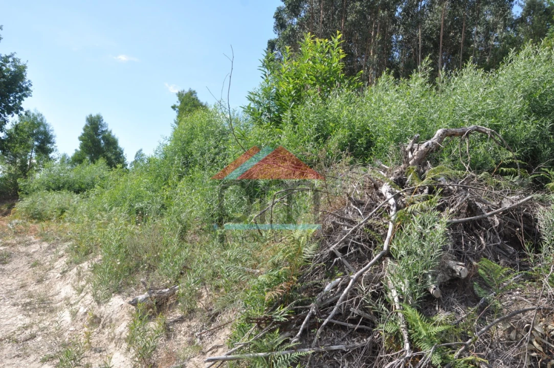 Terreno para Venda em Cerdal Foto 11