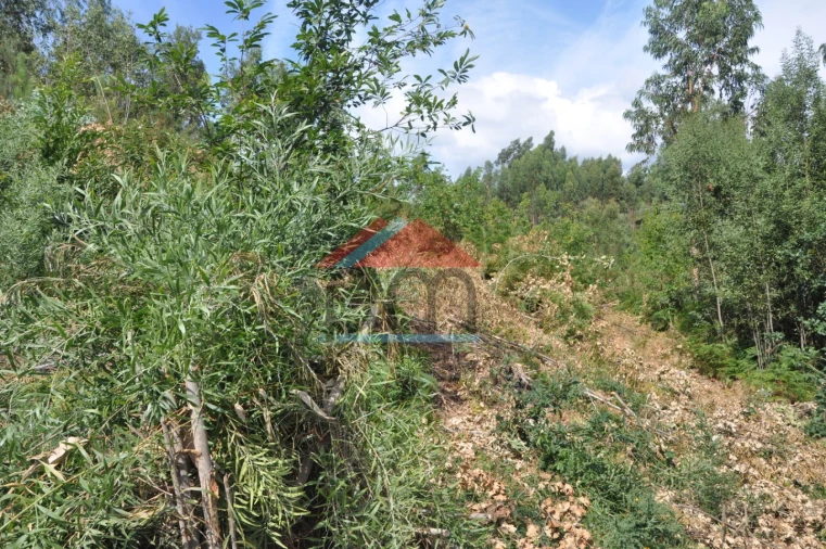 Terreno para Venda em Cerdal Foto 10