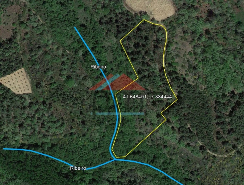 Terreno para Venda em Friões Foto 2