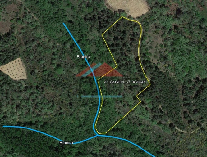 Terreno para Venda em Friões Foto 2