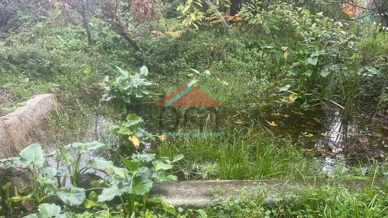 Terreno para Venda em Bela Foto 2