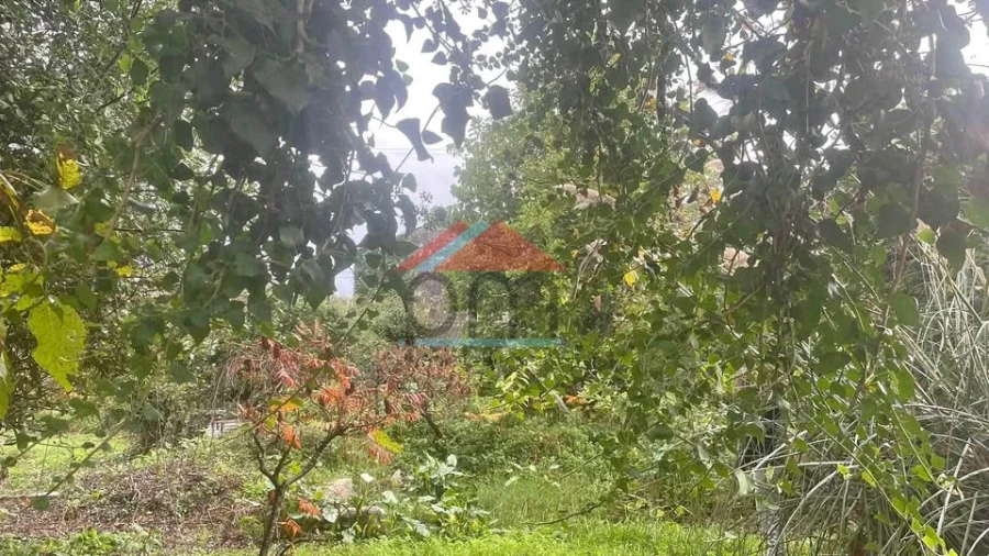 Terreno para Venda em Bela Foto 3