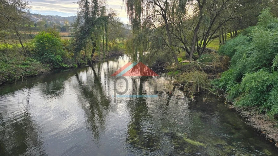Terreno para Venda em Regilde Foto 9