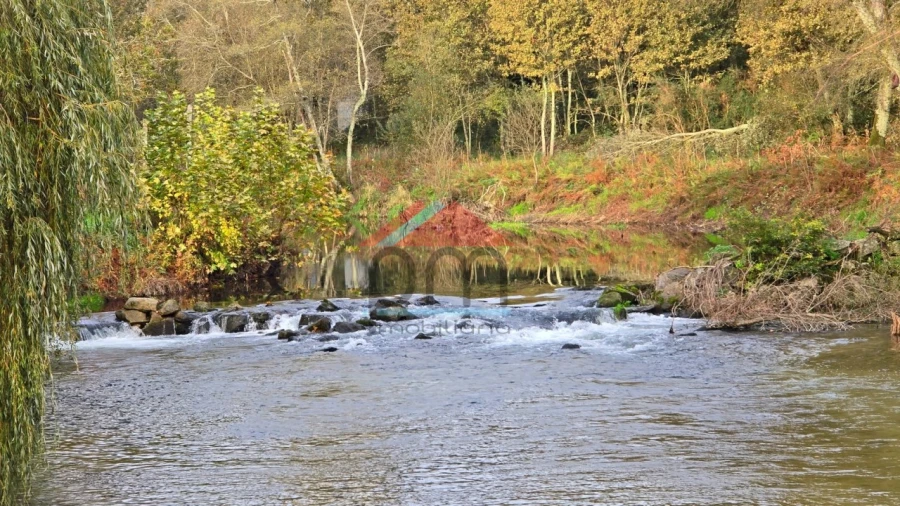 Terreno para Venda em Regilde Foto 12