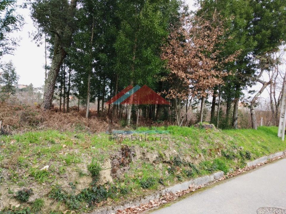 Terreno para Venda em Mazedo e Cortes Foto 6