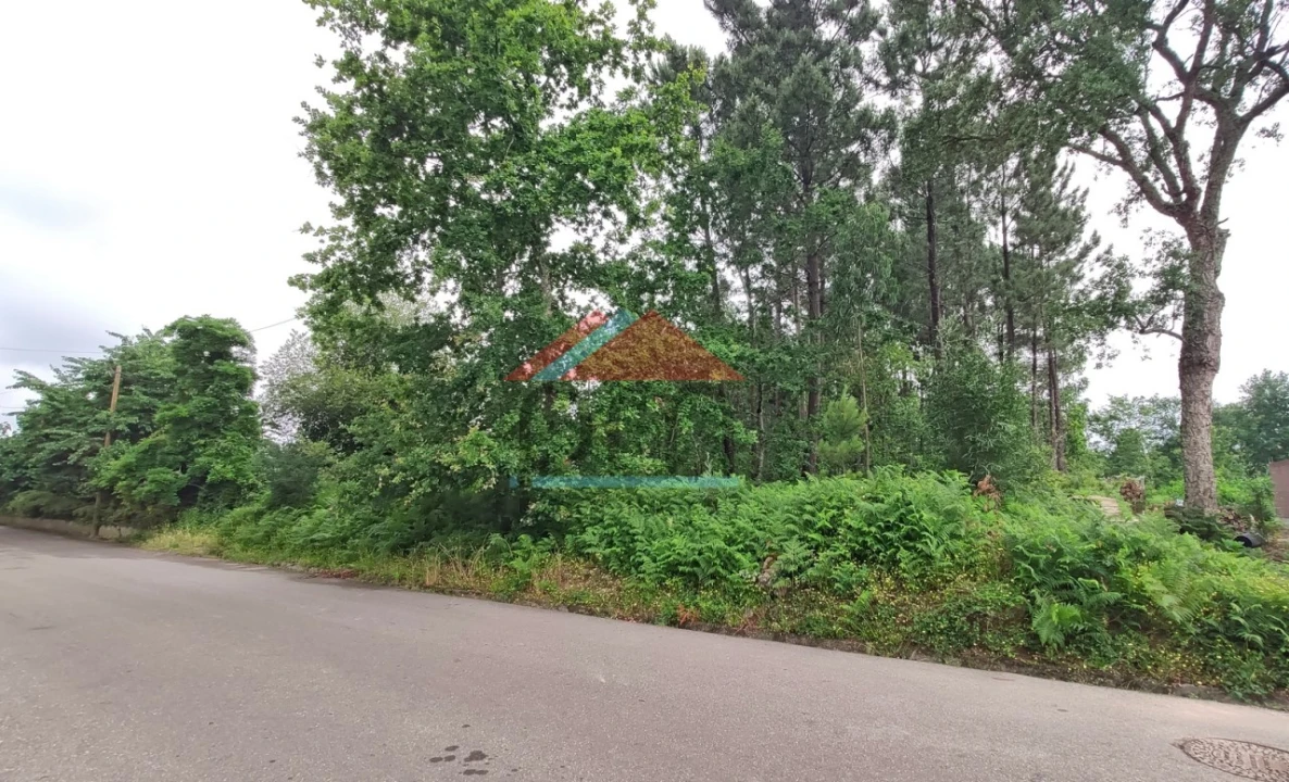 Terreno para Venda em Mazedo e Cortes Foto 3
