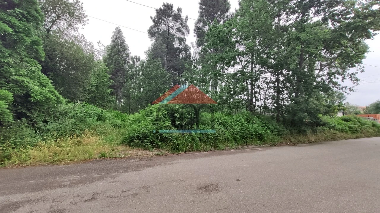 Terreno para Venda em Mazedo e Cortes Foto 5