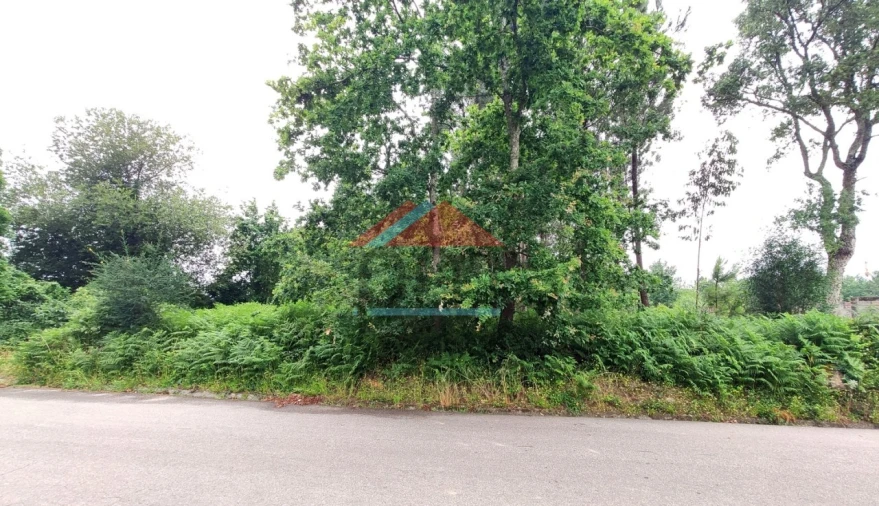 Terreno para Venda em Mazedo e Cortes Foto 4